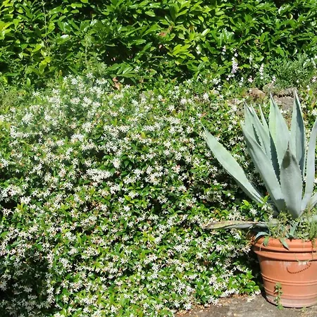Caprera Country house Siena